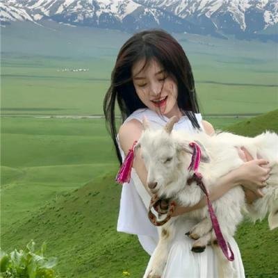 宫廷画师郎世宁